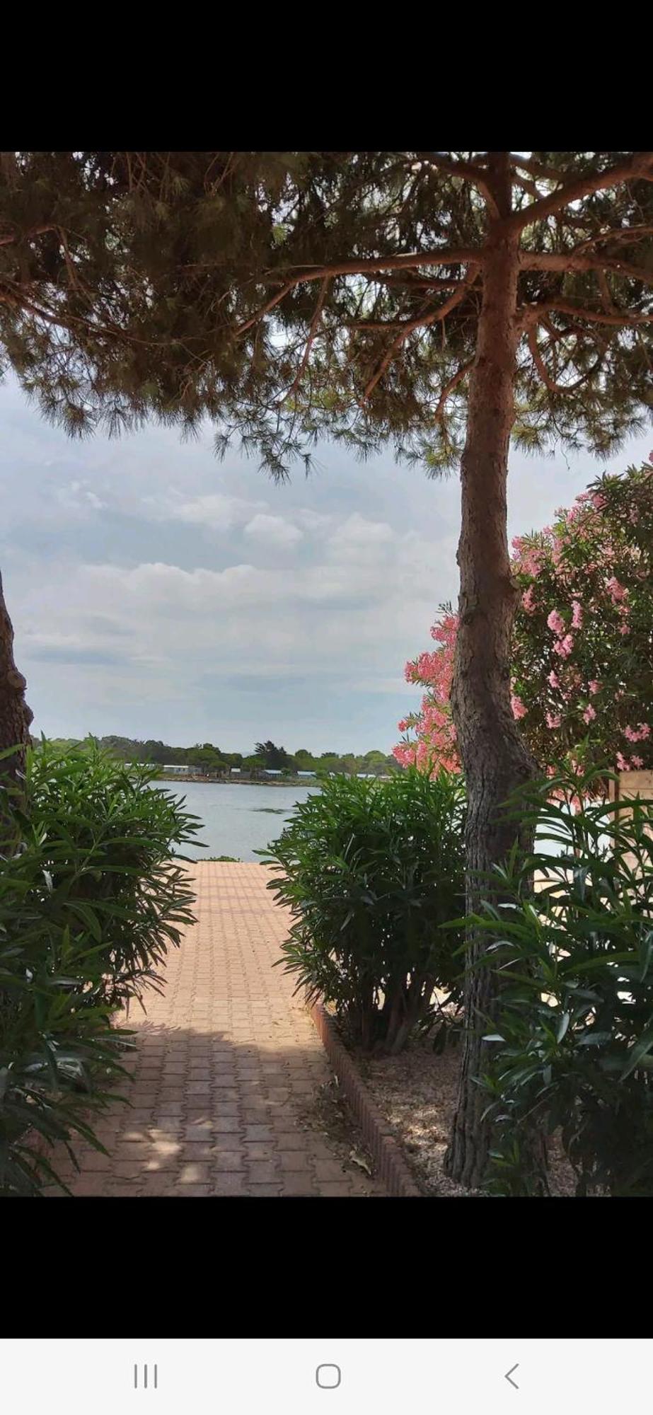 Villa 6P Piscine Spa Privatif Wifi Proche Des Plages Le Barcarès Esterno foto